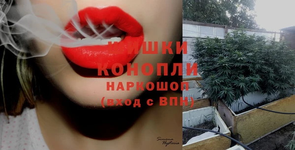 не бодяженный Невьянск