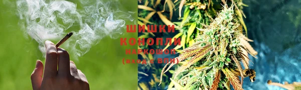 амф Лабытнанги